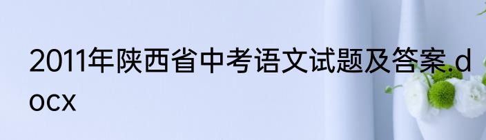 2011年陕西省中考语文试题及答案.docx
