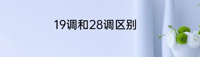 19调和28调区别