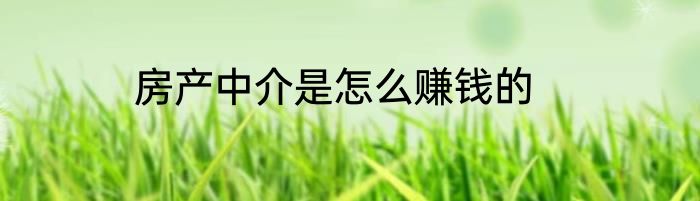 房产中介是怎么赚钱的