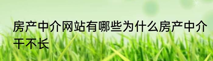 房产中介网站有哪些为什么房产中介干不长