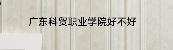 广东科贸职业学院好不好