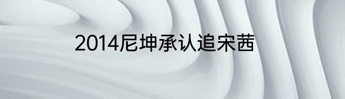 2014尼坤承认追宋茜