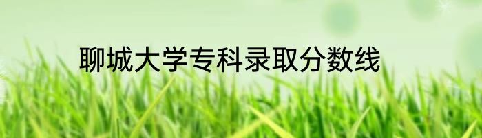 聊城大学专科录取分数线
