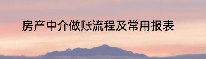 房产中介做账流程及常用报表