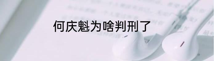 何庆魁为啥判刑了