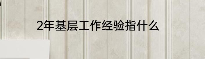 2年基层工作经验指什么