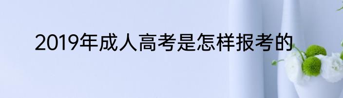 2019年成人高考是怎样报考的