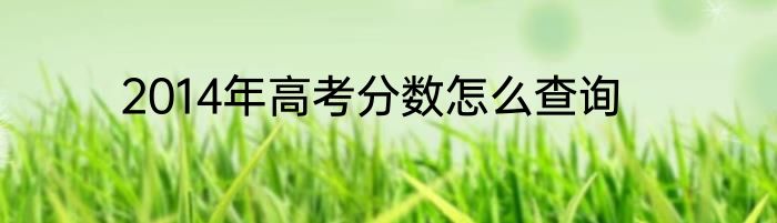 2014年高考分数怎么查询