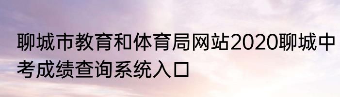 聊城市教育和体育局网站2020聊城中考成绩查询系统入口
