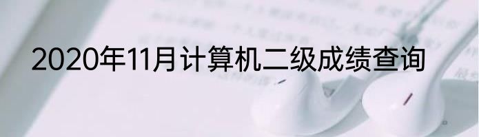 2020年11月计算机二级成绩查询