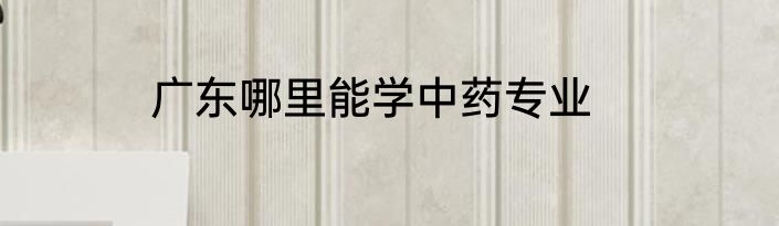 广东哪里能学中药专业