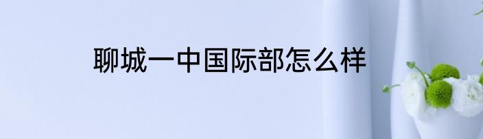 聊城一中国际部怎么样