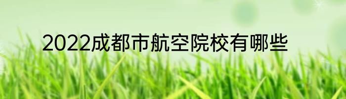 2022成都市航空院校有哪些