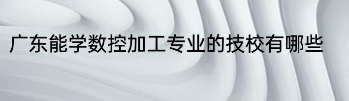 广东能学数控加工专业的技校有哪些