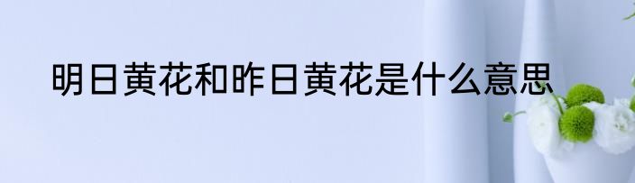 明日黄花和昨日黄花是什么意思