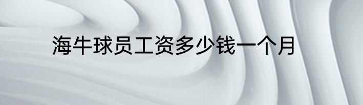 海牛球员工资多少钱一个月