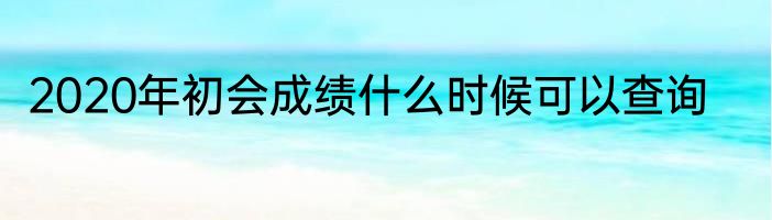 2020年初会成绩什么时候可以查询