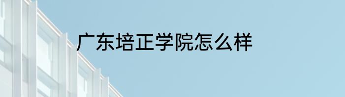 广东培正学院怎么样
