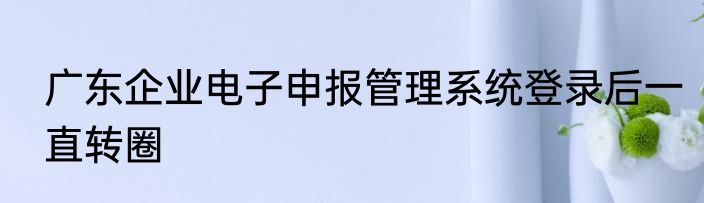 广东企业电子申报管理系统登录后一直转圈