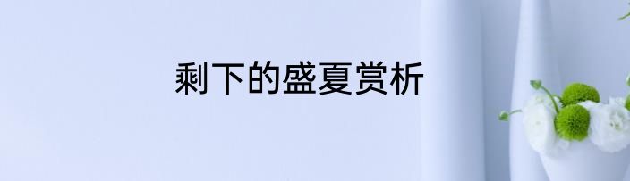 剩下的盛夏赏析