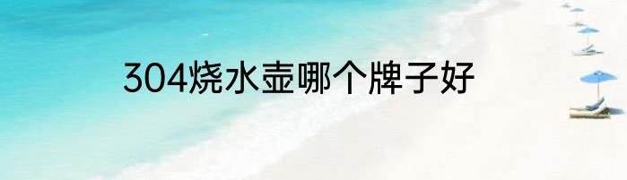 304烧水壶哪个牌子好