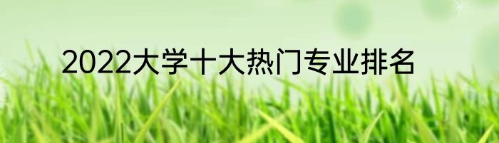 2022大学十大热门专业排名