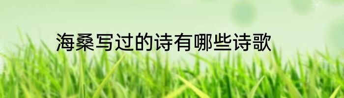 海桑写过的诗有哪些诗歌