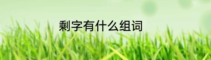 剩字有什么组词