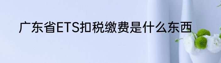广东省ETS扣税缴费是什么东西