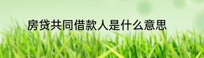 房贷共同借款人是什么意思