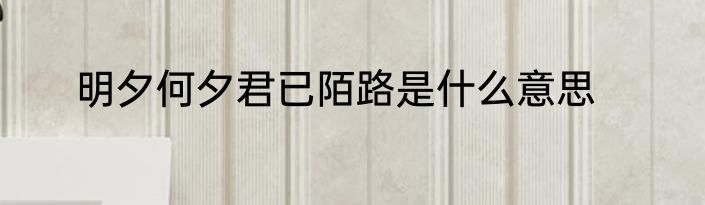 明夕何夕君已陌路是什么意思