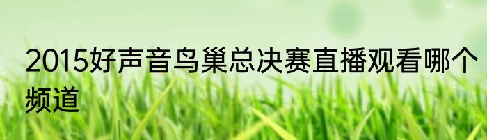 2015好声音鸟巢总决赛直播观看哪个频道