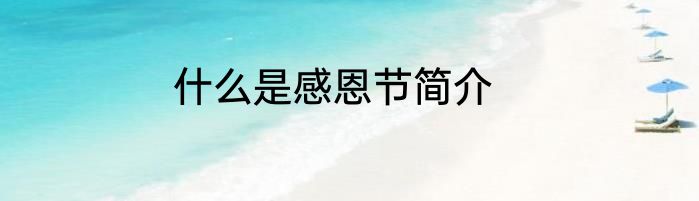 什么是感恩节简介