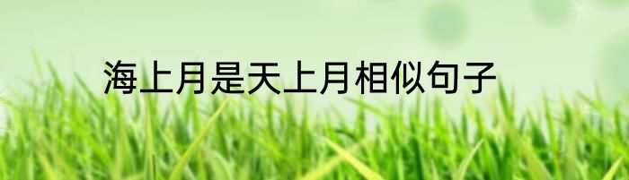 海上月是天上月相似句子