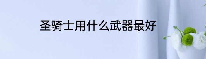 圣骑士用什么武器最好