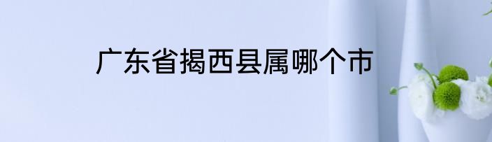 广东省揭西县属哪个市