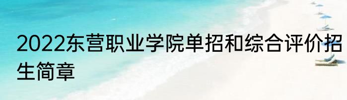 2022东营职业学院单招和综合评价招生简章