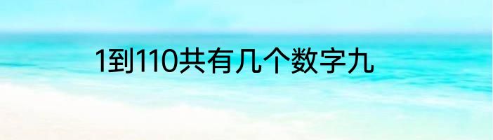 1到110共有几个数字九