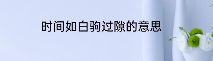 时间如白驹过隙的意思
