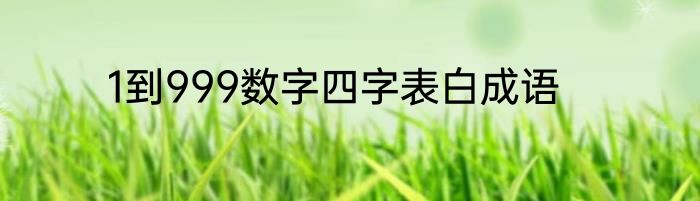 1到999数字四字表白成语