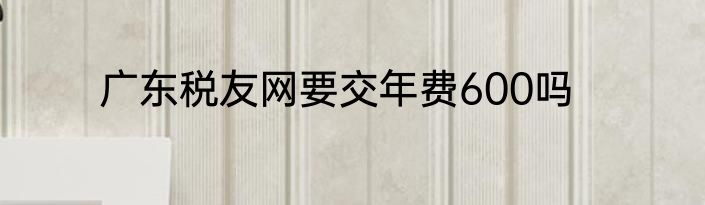 广东税友网要交年费600吗