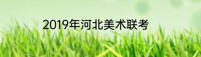2019年河北美术联考