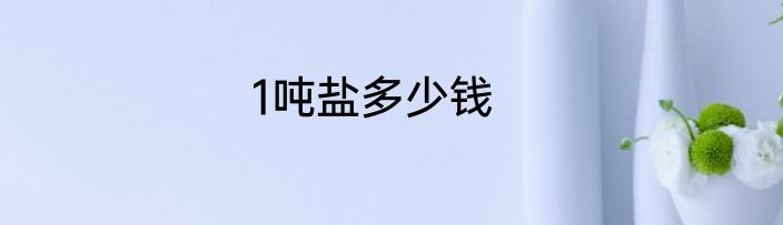 1吨盐多少钱