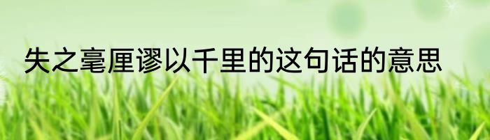 失之毫厘谬以千里的这句话的意思