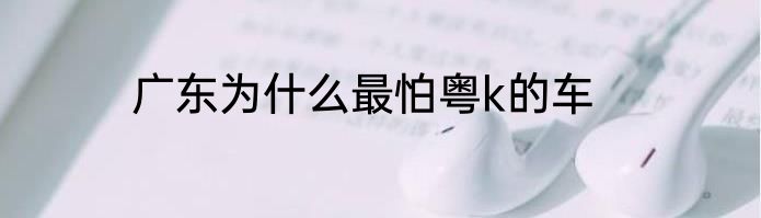 广东为什么最怕粤k的车