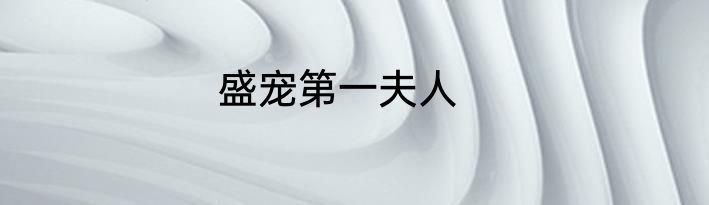盛宠第一夫人
