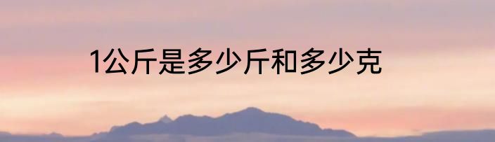 1公斤是多少斤和多少克