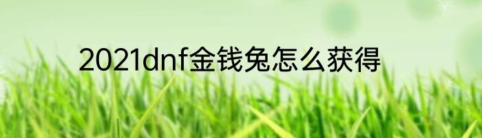 2021dnf金钱兔怎么获得