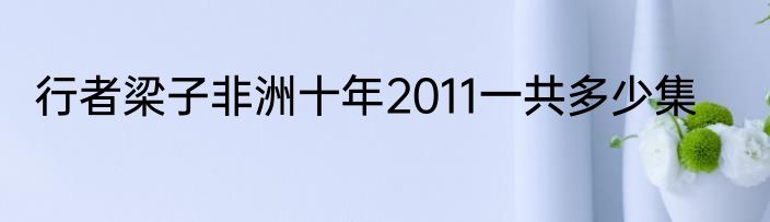 行者梁子非洲十年2011一共多少集
