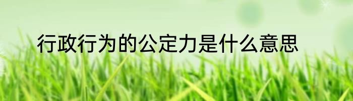行政行为的公定力是什么意思
